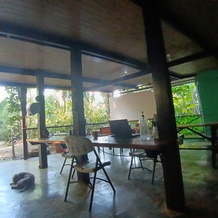 Nativos Corcovado Cabins Drakes Bay 外观 照片