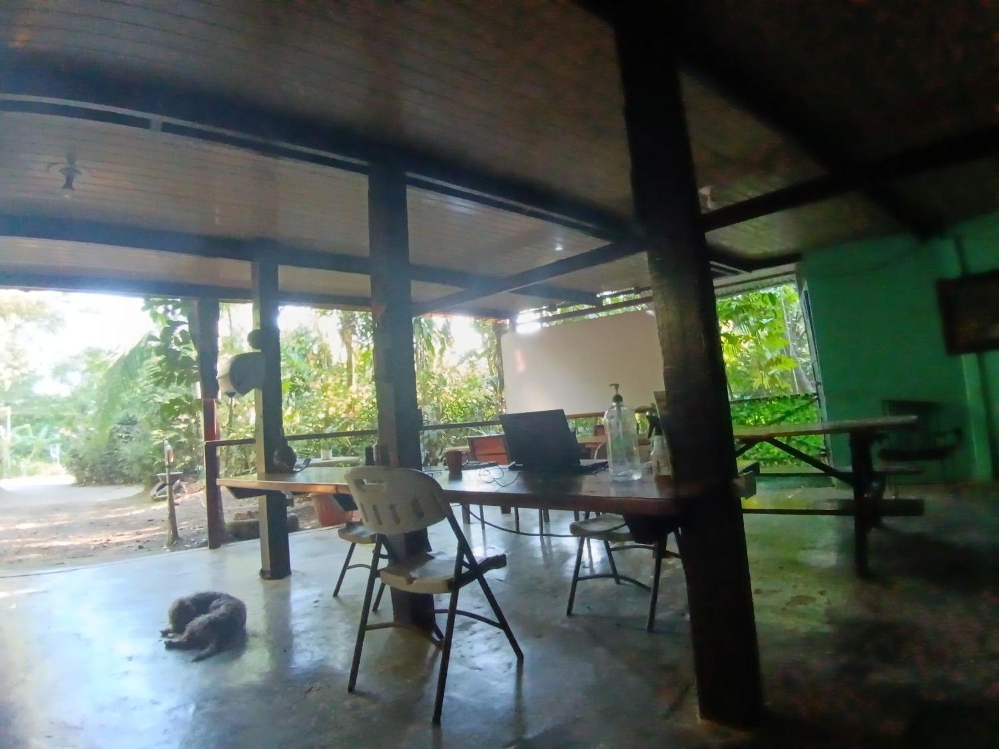 Nativos Corcovado Cabins Drakes Bay 外观 照片